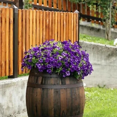 Al Sole 3* Fusine in Valromana